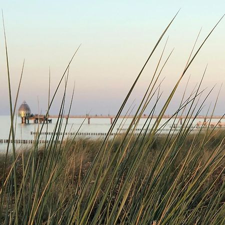 Ferienhaus Strandoase Zingst Eksteriør bilde